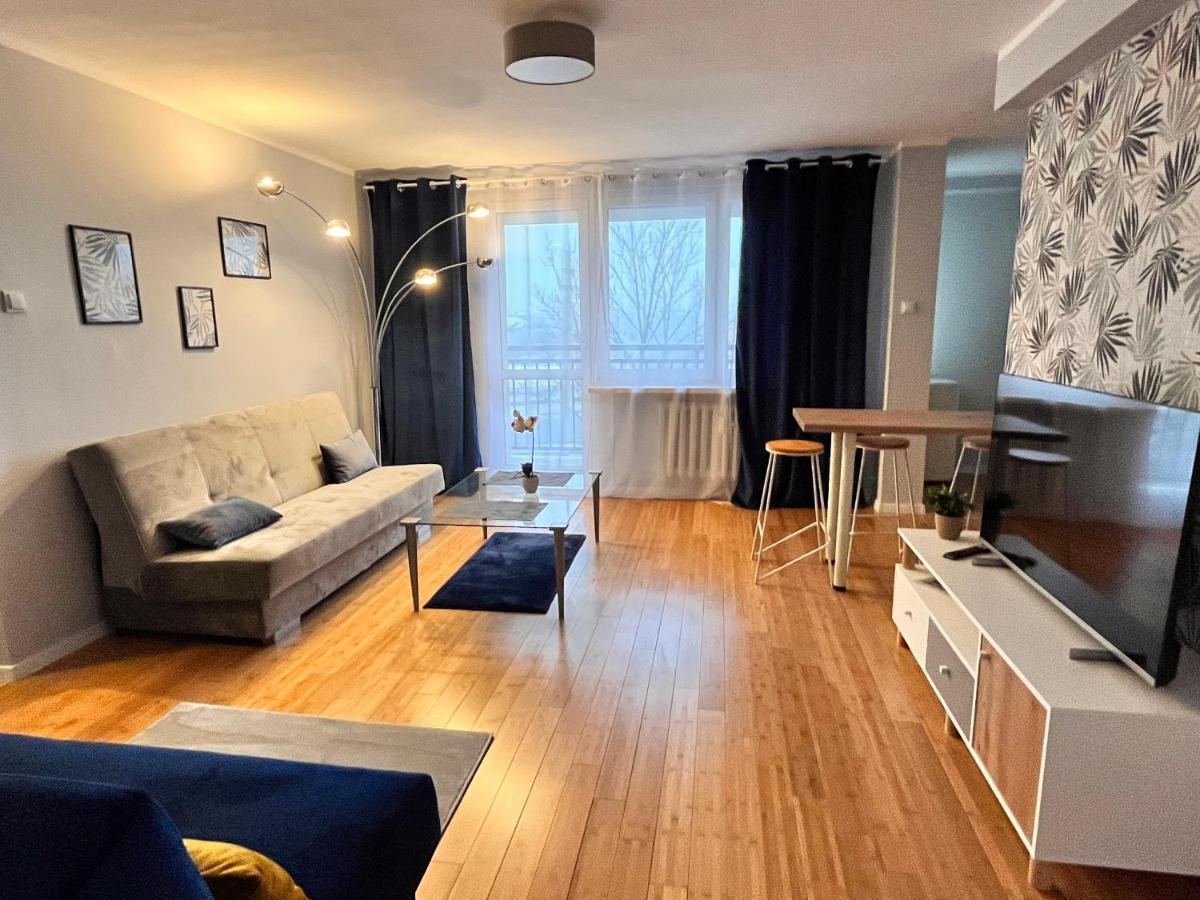 Apartament Z Widokiem Na Spodek 卡托维兹 外观 照片