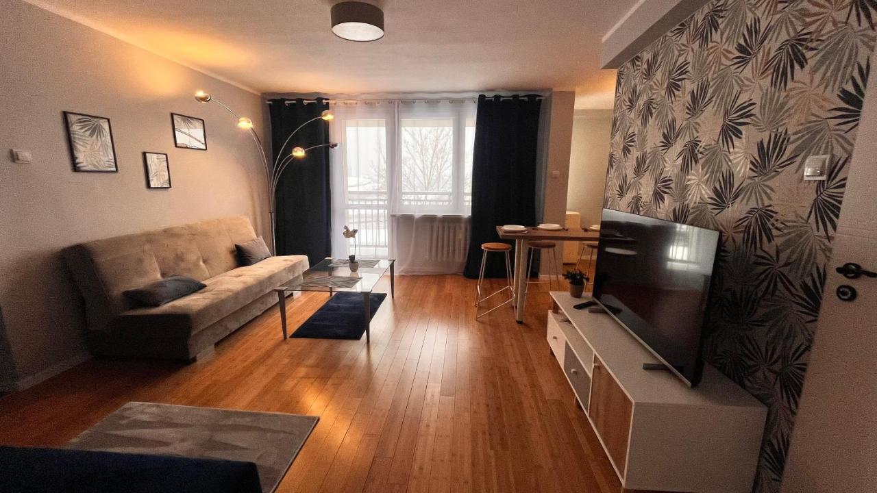 Apartament Z Widokiem Na Spodek 卡托维兹 外观 照片