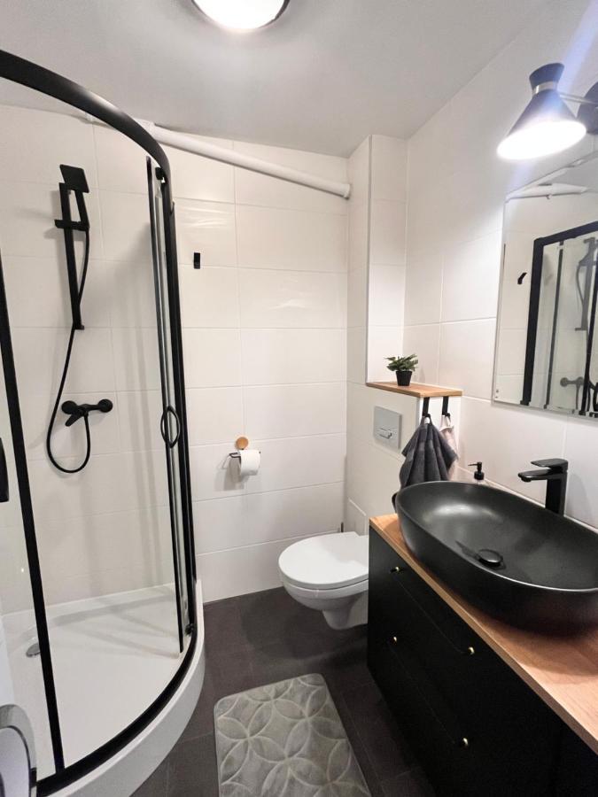 Apartament Z Widokiem Na Spodek 卡托维兹 外观 照片